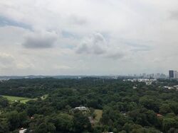Blk 87 Skyville @ Dawson (Queenstown), HDB 4 Rooms #633485221
